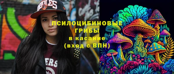 герыч Переславль-Залесский