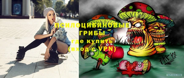 соль ск Пестово