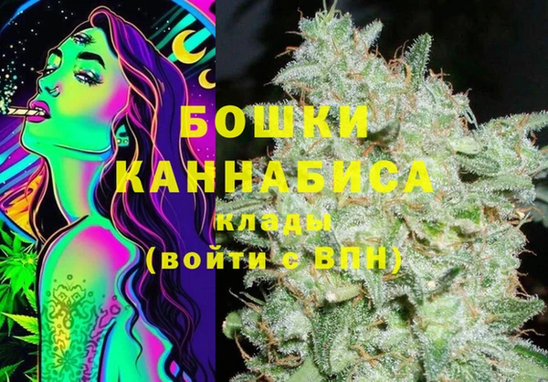 соль ск Пестово