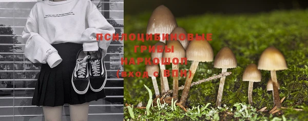 мдпв Пересвет