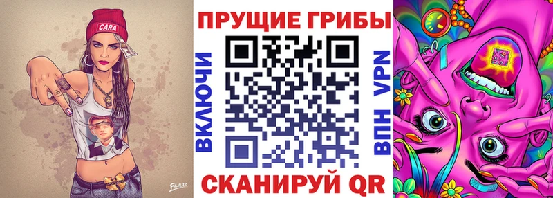 Купить закладки  Россошь  Псилоцибиновые грибы Cubensis 